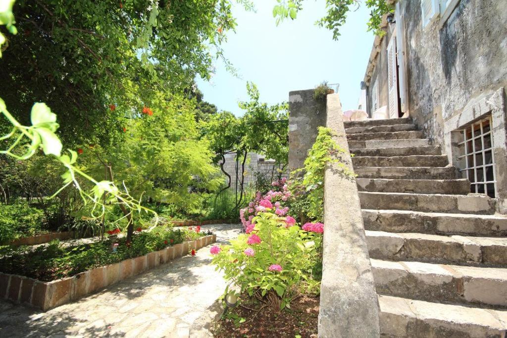 Appartement East West *